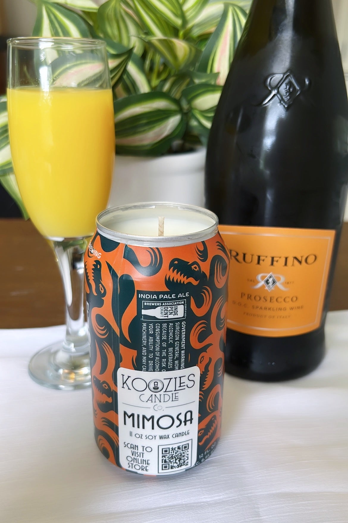 Mimosa